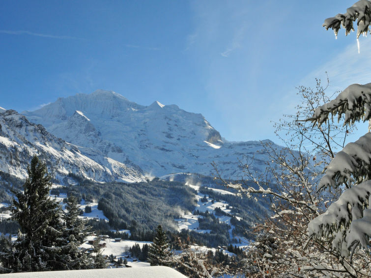 Jungfrau an der Ledi, Location Chalet à Wengen - Photo 31 / 31