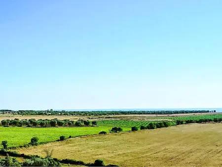 Tenuta Nucci, Villa 10 personnes à Gallipoli - Photo 24
