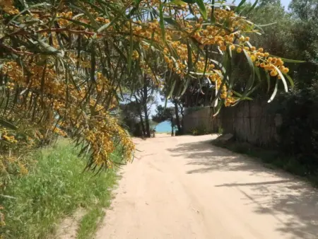 Surphinia, Villa 8 personnes à Bari Sardo - Photo 43