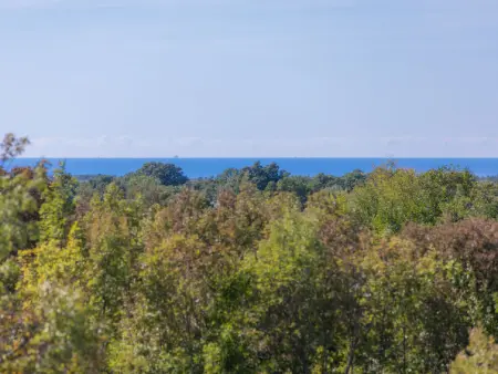 Histria 1, Villa 8 personnes à Pula Vodnjan - Photo 18