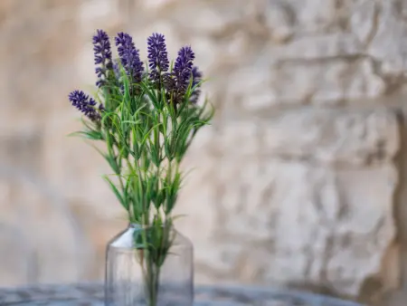 Ivanka, Maison 8 personnes à Pula Vodnjan - Photo 32