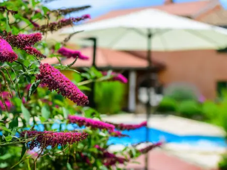 Loreta, Maison 6 personnes à Pula Vodnjan - Photo 18