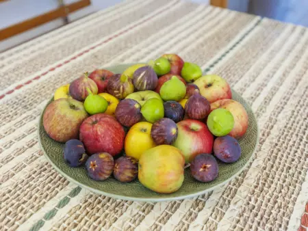 Bakić, Maison 8 personnes à Pula Krnica - Photo 8