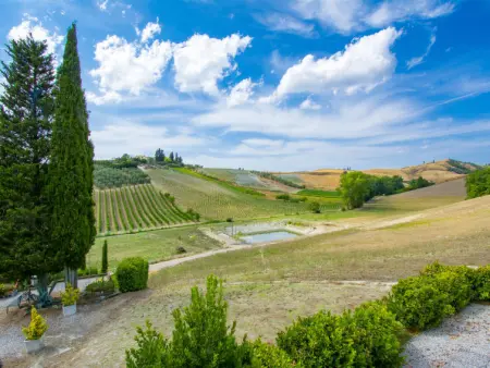 Il Vallone, Gite 6 personnes à Certaldo - Photo 33
