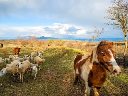 Bura, Maison 6 personnes à Labin - Photo 12