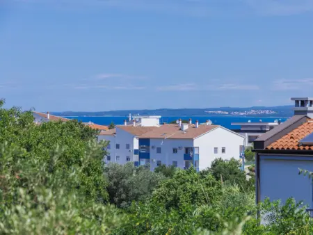 Licardo, Maison 16 personnes à Štinjan - Photo 49