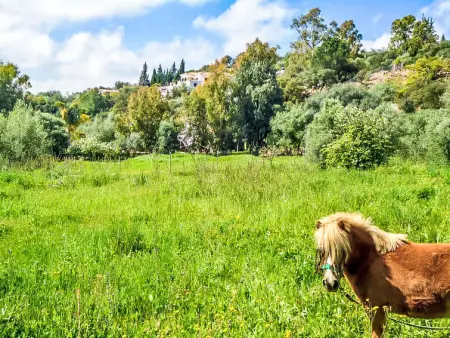 Pendle heights, Maison 6 personnes à La Axarquía Almogía - Photo 17