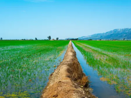 Gaviota 1, Maison 6 personnes à Deltebre - Photo 27