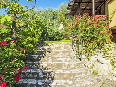 Olivo, Maison 8 personnes à Massarosa - Photo 28