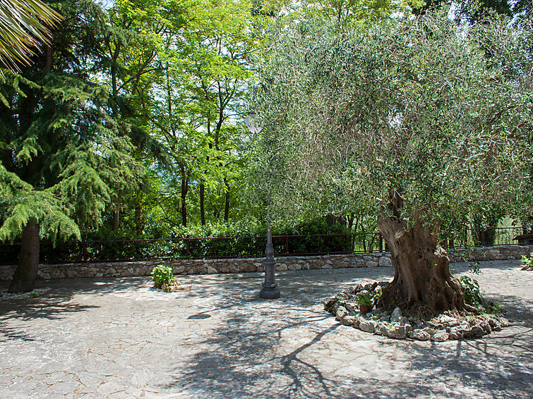 Olivo secolare, Location Villa à Todi - Photo 19 / 21