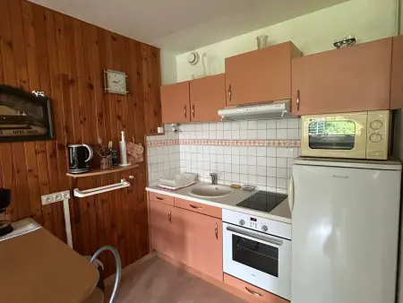 Appartement cosy 1 chambre, au centre de Super Besse - Photo 1