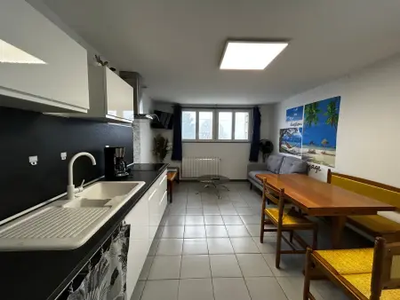 T2 avec jardin, terrasse et Wifi à 1km des Thermes - Photo 3