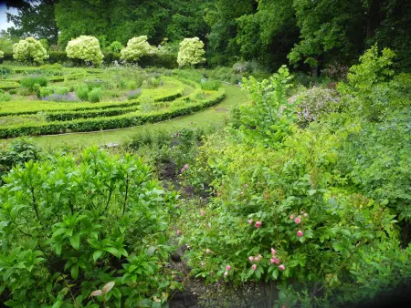 Gîte charmant avec jardin clos et parking à Saint-Sauveur-Marville - Photo 23