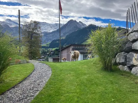 Ferienwohnung Strubelblick, Appartement 2 personnes à Adelboden - Photo 19