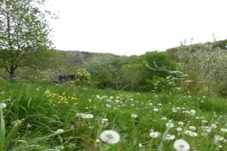 Buissonnière, Charme et Confort en Dordogne - Photo 18