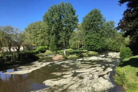 Buissonnière, Charme et Confort en Dordogne - Photo 21