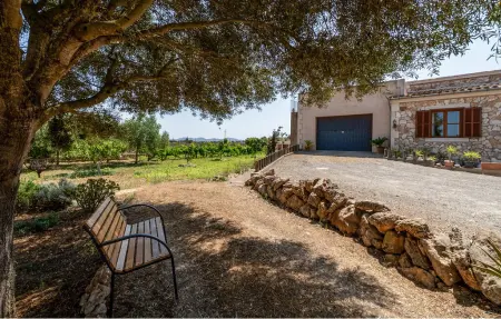 Sa servera de Son Valls, Maison 6 personnes à Felanitx - Photo 22