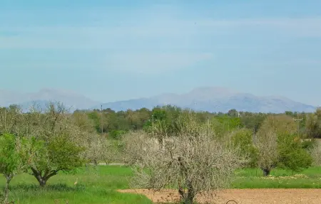 Sa servera de Son Valls, Maison 6 personnes à Felanitx - Photo 23
