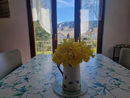 Maison à Gérardmer avec vue sur montagnes, garage et jardin - Photo 14