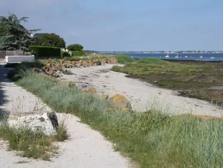 Maison à Sarzeau, 3 chambres, plage et commerces proches, animaux admis, internet - Photo 24