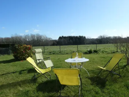 Charmante maison à Larmor Baden - 4 chambres, jardin, proche plages, animaux admis, WiFi - Photo 19