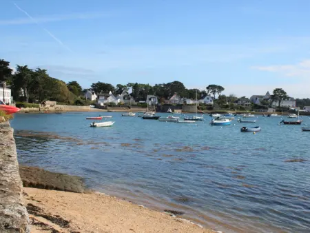 Charmante maison à Larmor Baden - 4 chambres, jardin, proche plages, animaux admis, WiFi - Photo 20