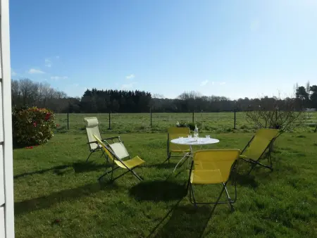 Charmante maison à Larmor Baden - 4 chambres, jardin, proche plages, animaux admis, WiFi - Photo 21