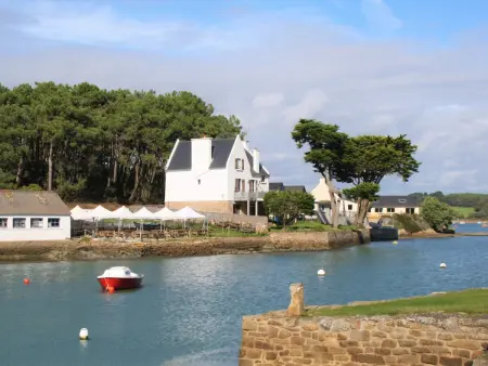 Charmante maison à Larmor Baden - 4 chambres, jardin, proche plages, animaux admis, WiFi - Photo 22