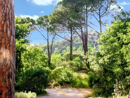 Villa élégante avec piscine privée à Ansouis, vues montagne - Photo 29