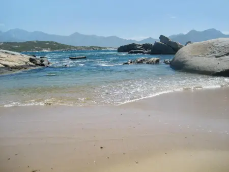 Villa panoramique avec vue mer et montagne à Corbara - Photo 17