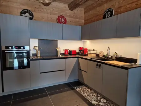 Chalet lumineux à Arêches-Beaufort avec terrasse et cuisine équipée - Photo 1