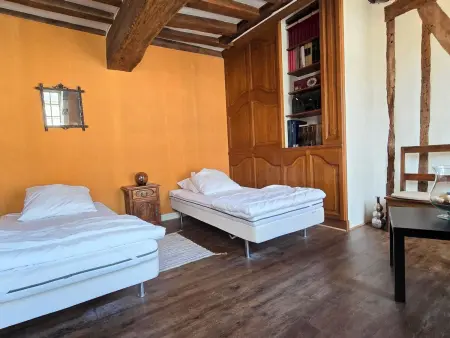 Auberge médiévale à Houdan avec jardin clos, animaux acceptés, WiFi et parking sécurisé - Photo 19