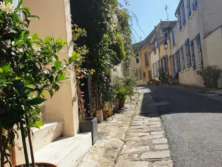 Auberge médiévale à Houdan avec jardin clos, animaux acceptés, WiFi et parking sécurisé - Photo 32