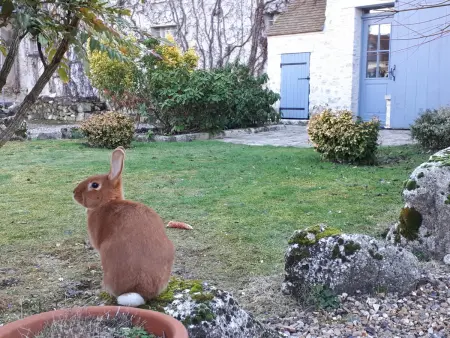 Charmant gîte à Montainville avec jardin, terrasse et TV - Photo 16