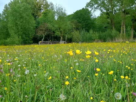 Gîte spacieux avec jardin, WiFi, animaux admis, Gite 4 personnes à Thorigné sur Dué - Photo 7