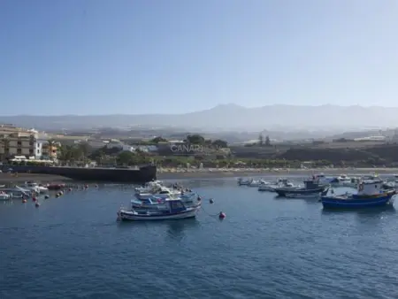 Maison traditionnelle avec piscine chauffée, terrasse et wifi à Tenerife - Photo 15