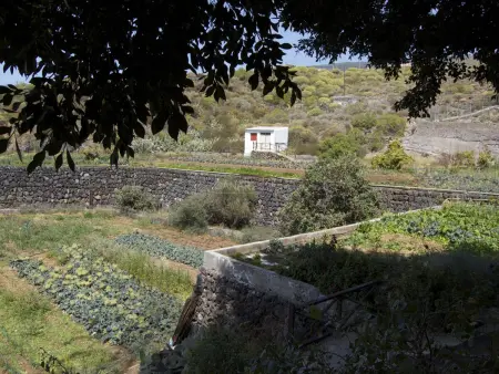 Maison traditionnelle avec piscine chauffée, terrasse et wifi à Tenerife - Photo 18
