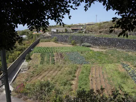 Maison rustique avec piscine chauffée, wifi et vue sur mer à Tenerife - Photo 21