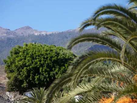 Maison traditionnelle avec jardin et piscine privée à Tenerife - Photo 14