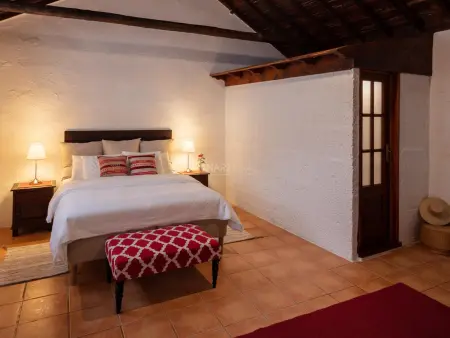 Maison historique avec piscine privée et jardin à Arico, Tenerife - Photo 6