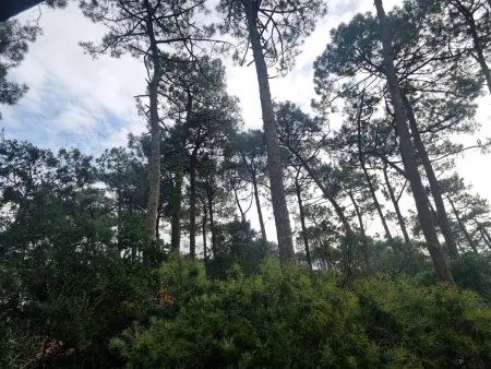 Spacieux T3 à Seignosse au bord de l'océan avec balcon - Photo 20