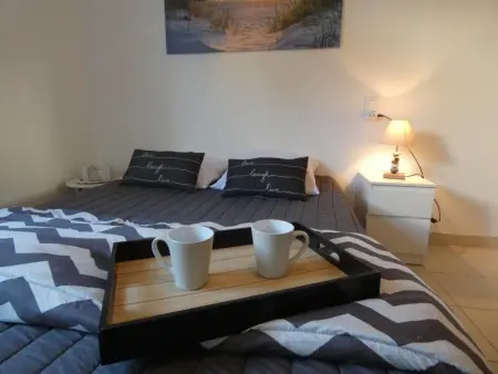 Maison de vacances à Fromentine - 35m², Animaux admis, 4 personnes - Photo 2