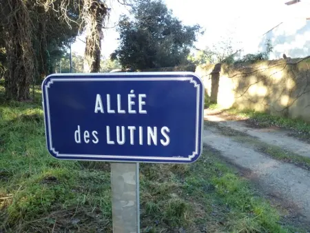 Maison de vacances à Fromentine - 35m², Animaux admis, 4 personnes - Photo 4