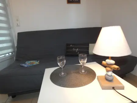 Maison de vacances à Fromentine - 35m², Animaux admis, 4 personnes - Photo 17
