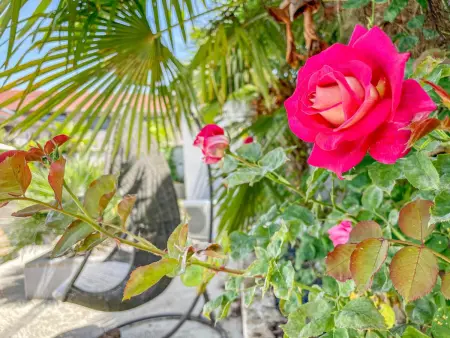 Charmant Gîte avec Terrasse près de Troyes, Gite 2 personnes à Villechétif - Photo 12