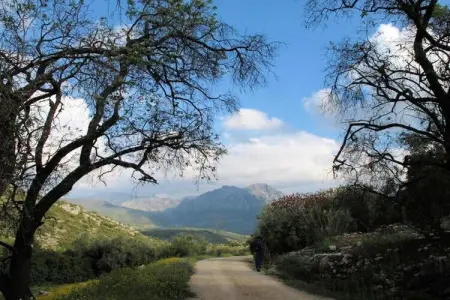 Cerro de la Cruz, Ferme en Andalousie près du Pic Tiñosa - Photo 37