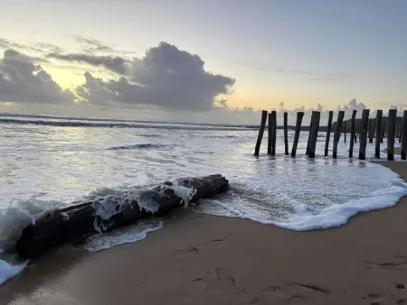 Maison à Dolus-d'Oléron, proche plage, parking - Photo 11