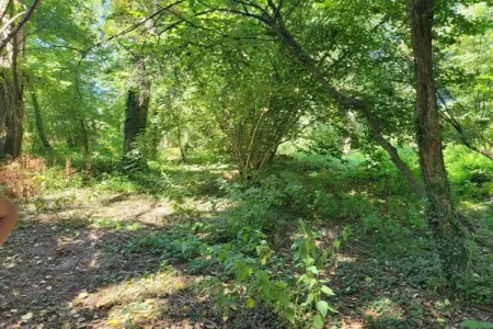 Mas d'Ourbise Penan, Retraite au château familial - Photo 31