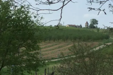 Mas d'Ourbise Penan, Retraite au château familial - Photo 33