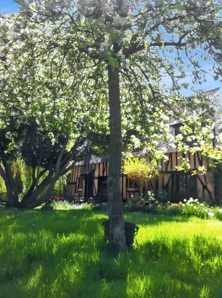 Maison spacieuse et charmante à Dame-Marie avec jardin - Photo 7